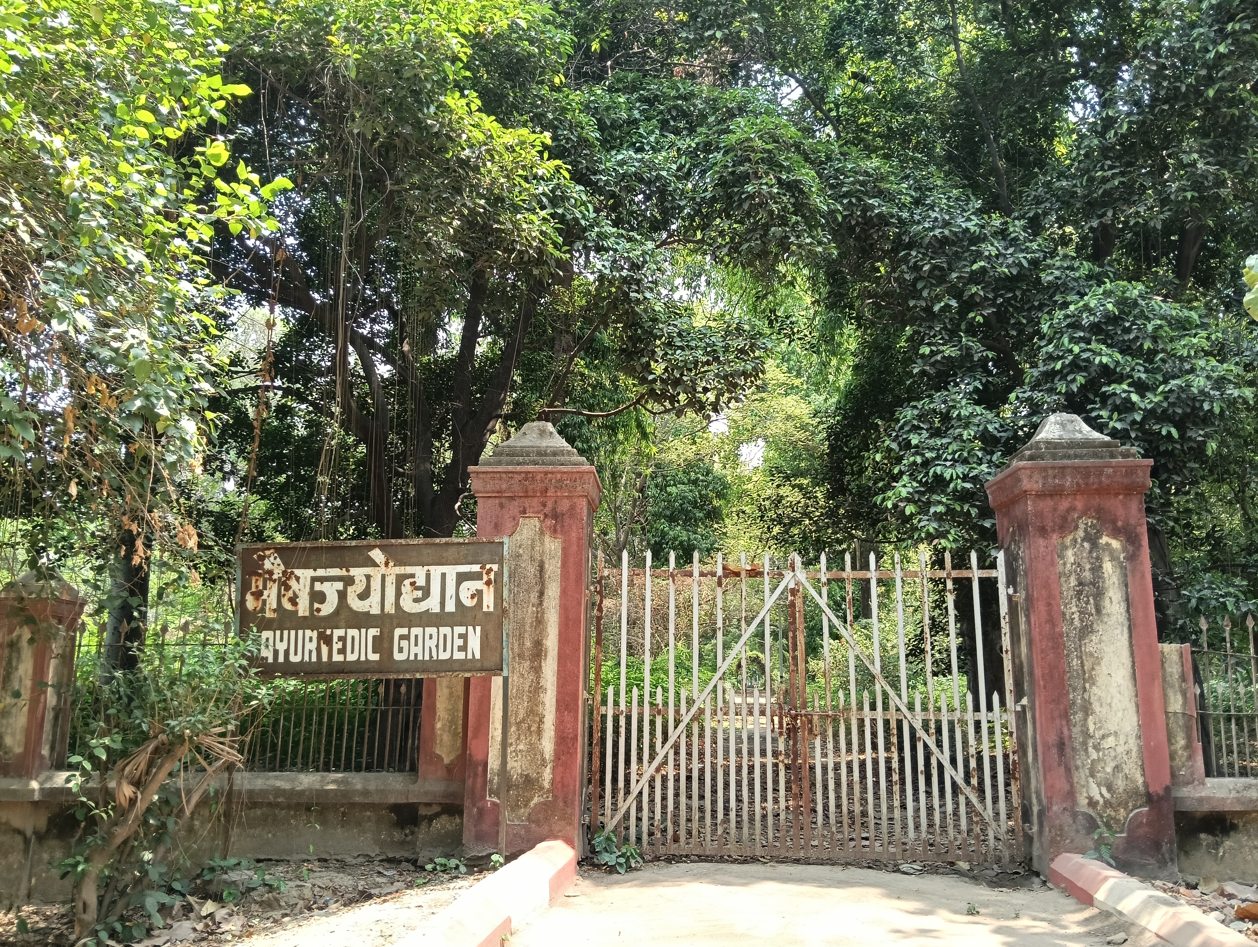 Arogya Van Medicinal Garden