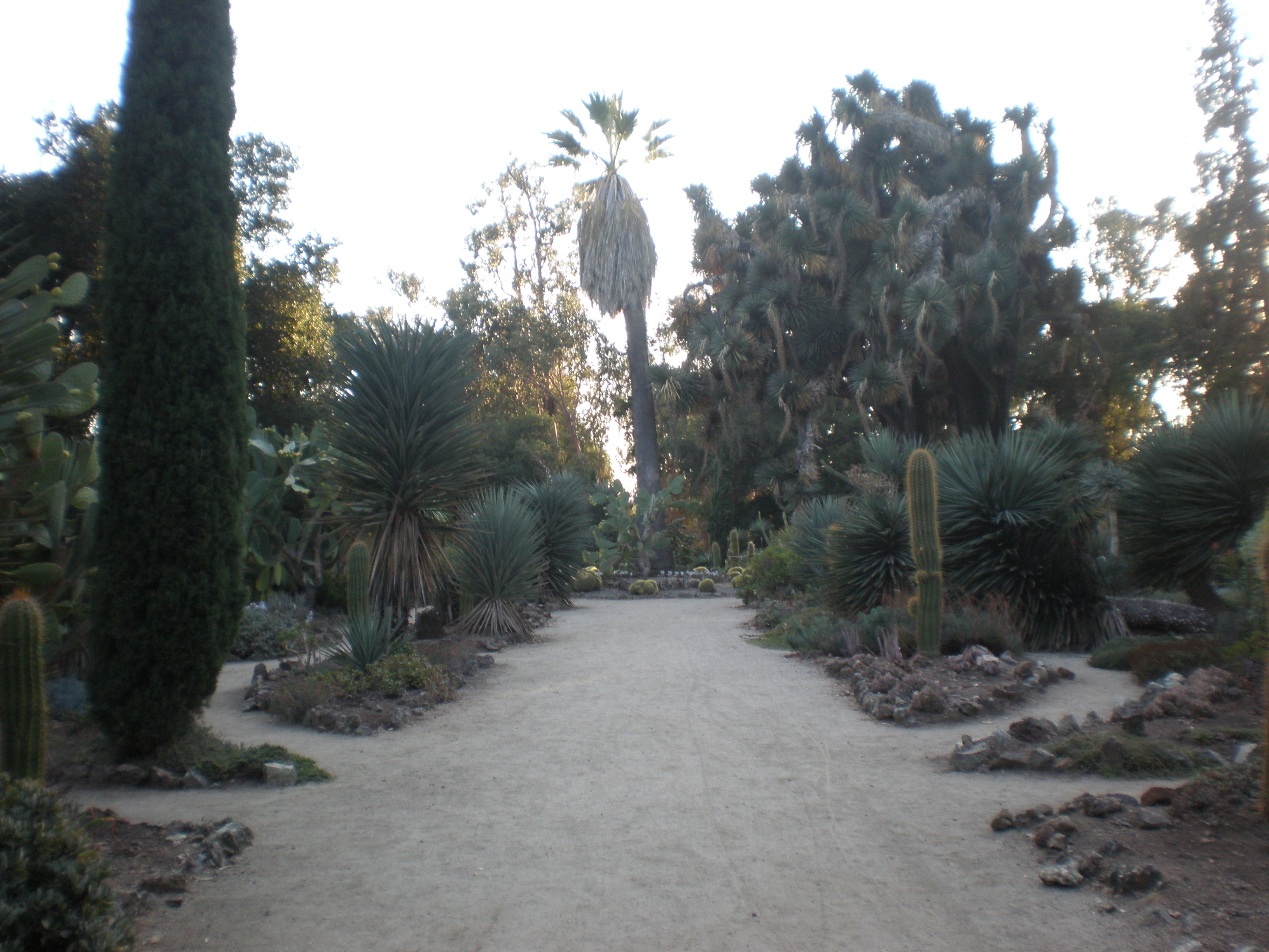 Cactus and Butterfly Garden